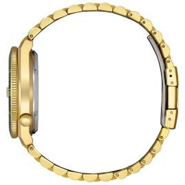 Citizen NJ0232-53X Herren-Armbanduhr Automatik 10 bar Goldfarben/Grün