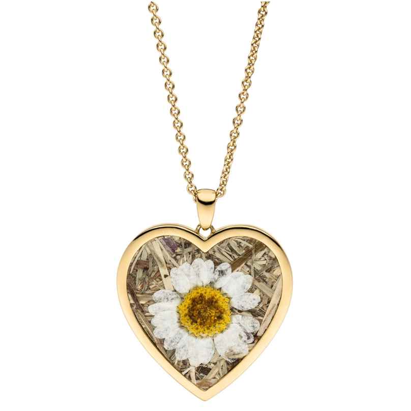 Viventy 783242 Ladies' Necklace Heart with Marguerite / Cornflower Gold Plated 4028543220736