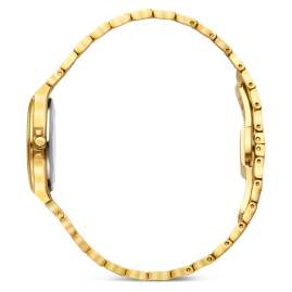 Danish Design IV87Q1303 Damenuhr DKx Pro Goldfarben/Haselnussbraun