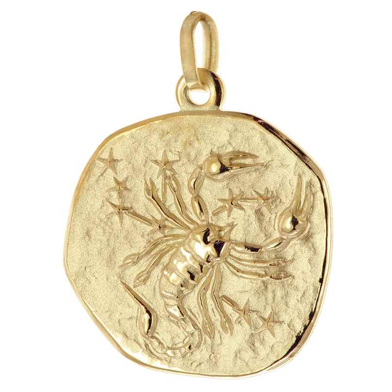 trendor 21300-11 Anhänger Sternzeichen Skorpion 925 Silber Vergoldet Ø 20 mm 4262551213087