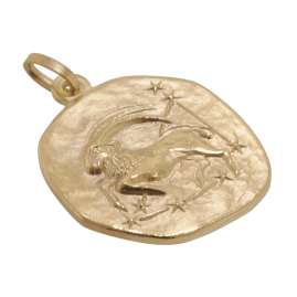 trendor 39070-01 Zodiac Sign Capricorn Men's Necklace Gold Plated Silver 925
