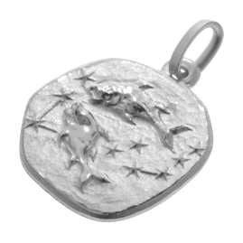 trendor 51610-03 Sternzeichen Fische Ø 20 mm und Halskette 925 Silber
