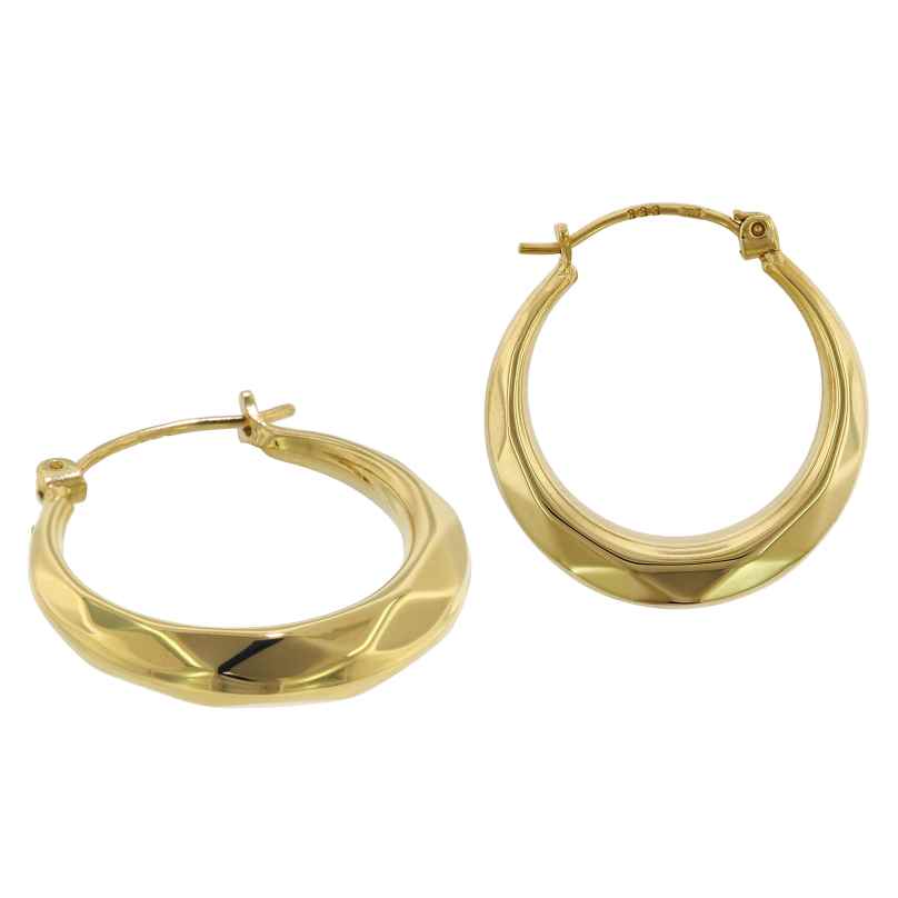trendor 75792 Hoop Earrings 333 Gold 8 Carat 20 mm 4260641757923