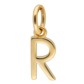 trendor 41880-R Buchstaben-Anhänger R Gold 333/8K mit vergoldeter Silberkette