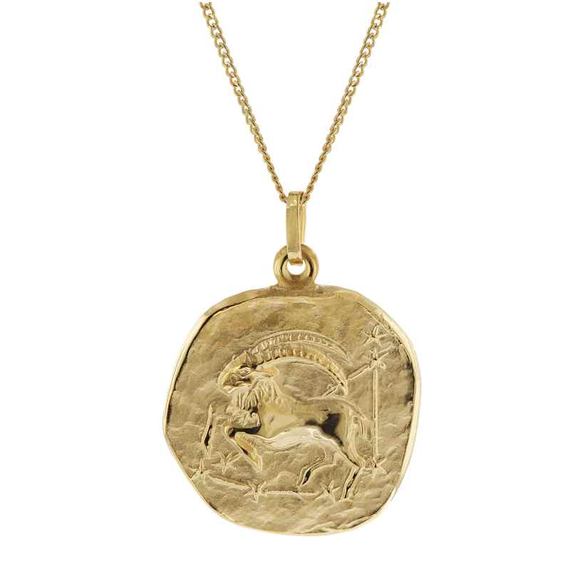 trendor 41960-01 Capricorn Zodiac Sign Ø 20 mm with 333/8K Gold Chain for Men