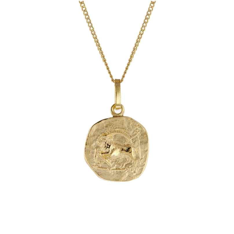 trendor 15022-01 Kinder-Halskette mit Sternzeichen Steinbock 333/8K Gold
