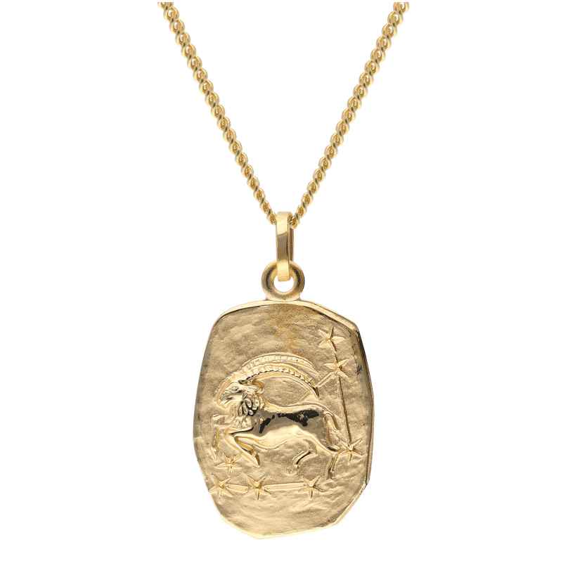 trendor 15404-01 Capricorn Zodiac Gold 333 with Gold-Plated Silver Necklace