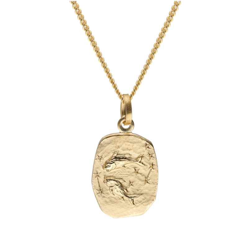 trendor 15436-03 Pisces Zodiac Gold 585 with Gold-Plated Silver Necklace