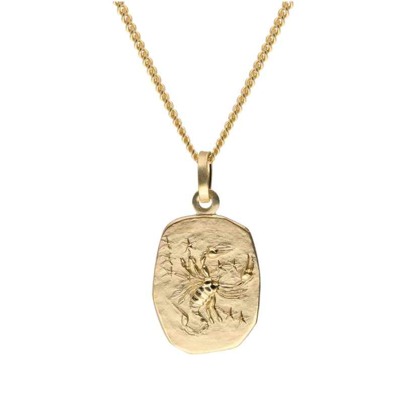 trendor 15436-11 Skorpion Sternzeichen Gold 585 mit vergoldeter Silberkette