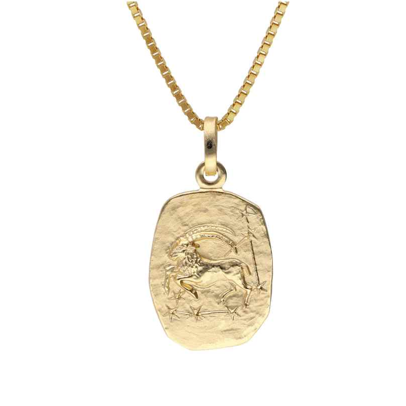 trendor 15382-01 Capricorn Zodiac Gold 333 with Gold-Plated Silver Necklace