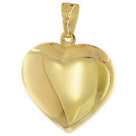 trendor 68200 Damen Herz-Anhänger Gold 333 Bicolor mit vergoldeter Silberkette