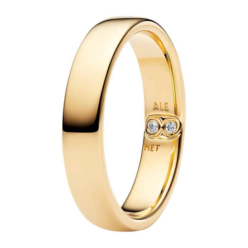 Pandora 164776C01 Damen-Ring Klassische Schiene Goldfarben