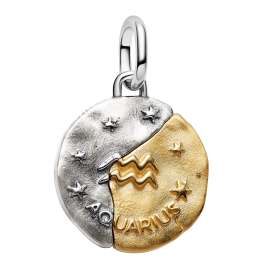 Pandora 764990C01 Medallion Charm Pendant Two Tone Zodiac Aquarius