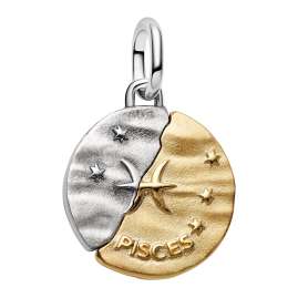 Pandora 764991C01 Medaillon Charm Anhänger Zweifarbig Sternzeichen Fische