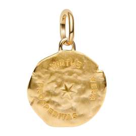 Pandora 764804C01 Medaillon-Charm Anhänger Goldfarben Weizen