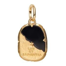 Pandora 764805C01 Medallion Charm Pendant Gold Tone Owl