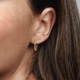 Pandora 262728C00 Women's Hoop Earrings for Charms Gold Tone