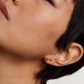 P D Paola AR01-543-U Women's Stud Earrings Flora Gold Plated Silver