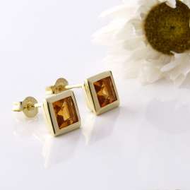 Acalee 70-1018-05 Ladies' Earrings Gold 333 / 8K with Citrine