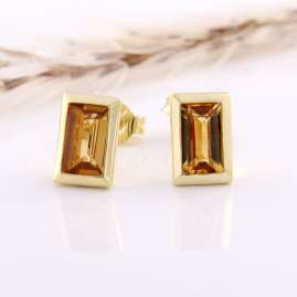 Acalee 70-1026-06 Earrings Gold 333 / 8K with Citrine