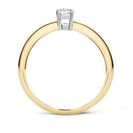 Blush 1155BZI Ladies' Ring Gold 585 with Cubic Zirconia