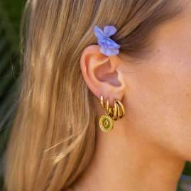Purelei Ladies' Hoop Earrings Gold Plated Ike