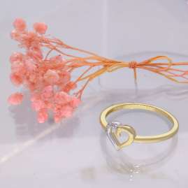 GLIZZ GL8376 Damenring Gold 333/8K Bicolor