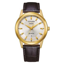 Citizen AW0102-13A Eco-Drive Solar Men's Wristwatch Brown/Gold Tone