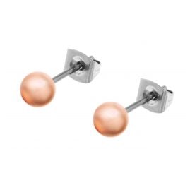 Boccia 0504-02 Titanium Stud Earrings