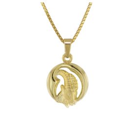 trendor 41140-1 Capricorn Zodiac Pendant Gold 333 + Gold-Plated Necklace