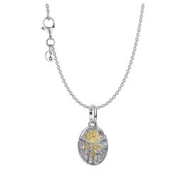 Pandora 21017 Women's Necklace Silver Gift Set Two Tone Rose