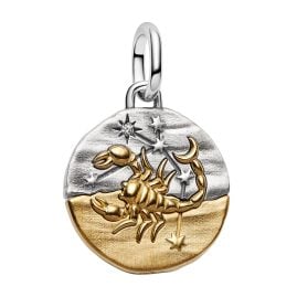 Pandora 764985C01 Medallion Charm Pendant Two Tone Zodiac Scorpio