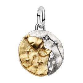 Pandora 764990C01 Medallion Charm Pendant Two Tone Zodiac Aquarius