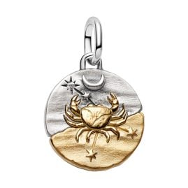 Pandora 764984C01 Medallion Charm Pendant Two Tone Zodiac Sign Cancer