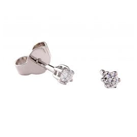 Acalee 70-1002-10 Diamond Stud Earrings 585/14 K White Gold 0.1 Carat