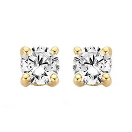 Blush 7212YZI Ladies' Stud Earrings 585 Gold