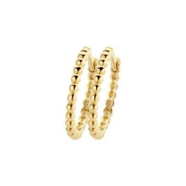 Blush 7290YGO Women's Hoop Earrings Gold 585