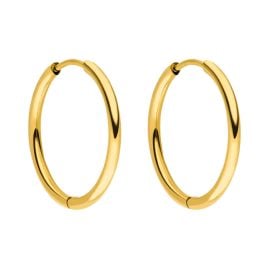 Purelei klassische Ohrringe für Frauen aus poliertem Edelstahl vergoldet Breit