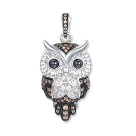 Seinerzeit SZA-3990-119 Anhänger Merlin Eule Silber