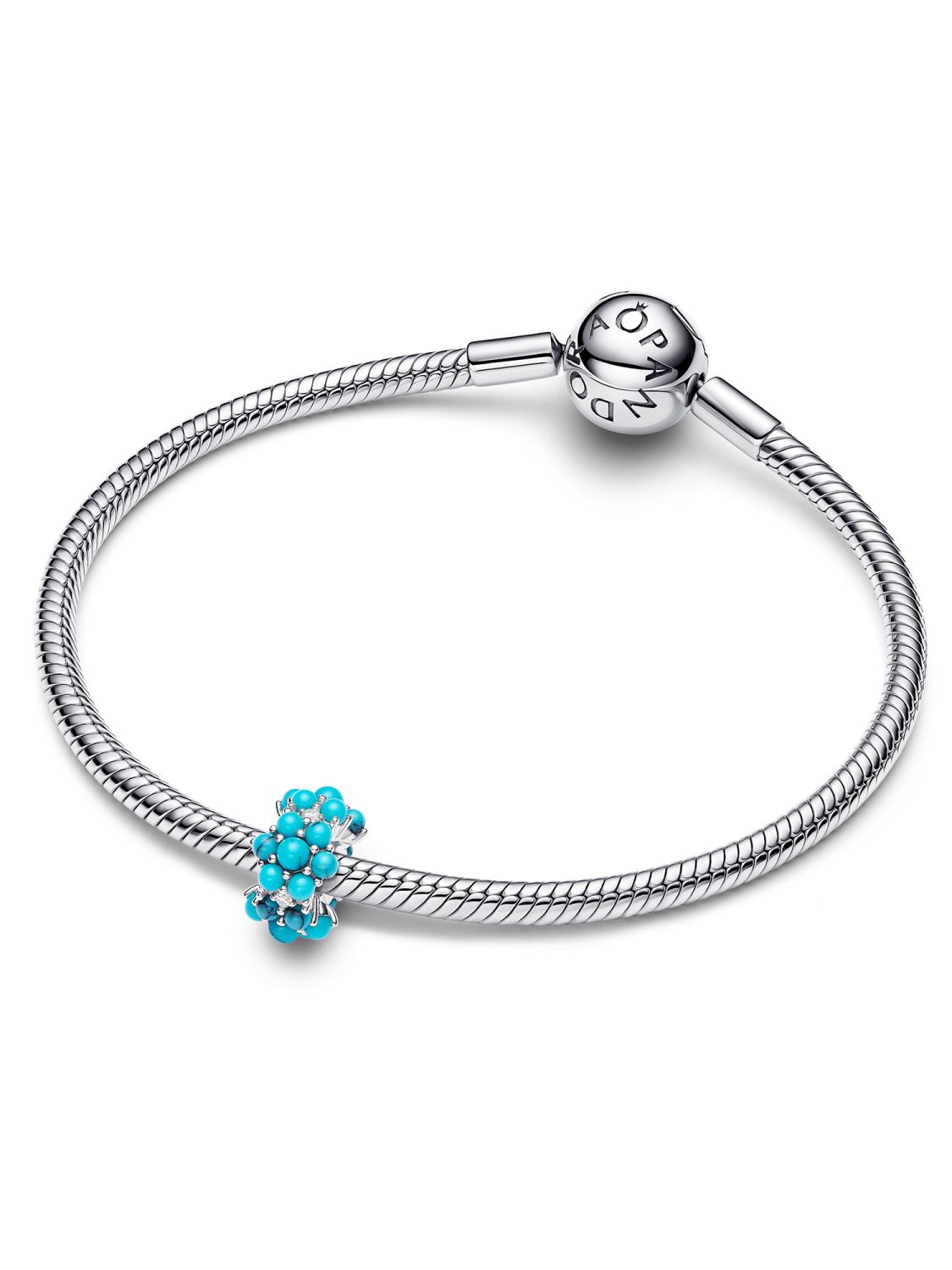 Charm Bracelet Jewel Hut Pandora Earrings Pandora Jewellery Ocean