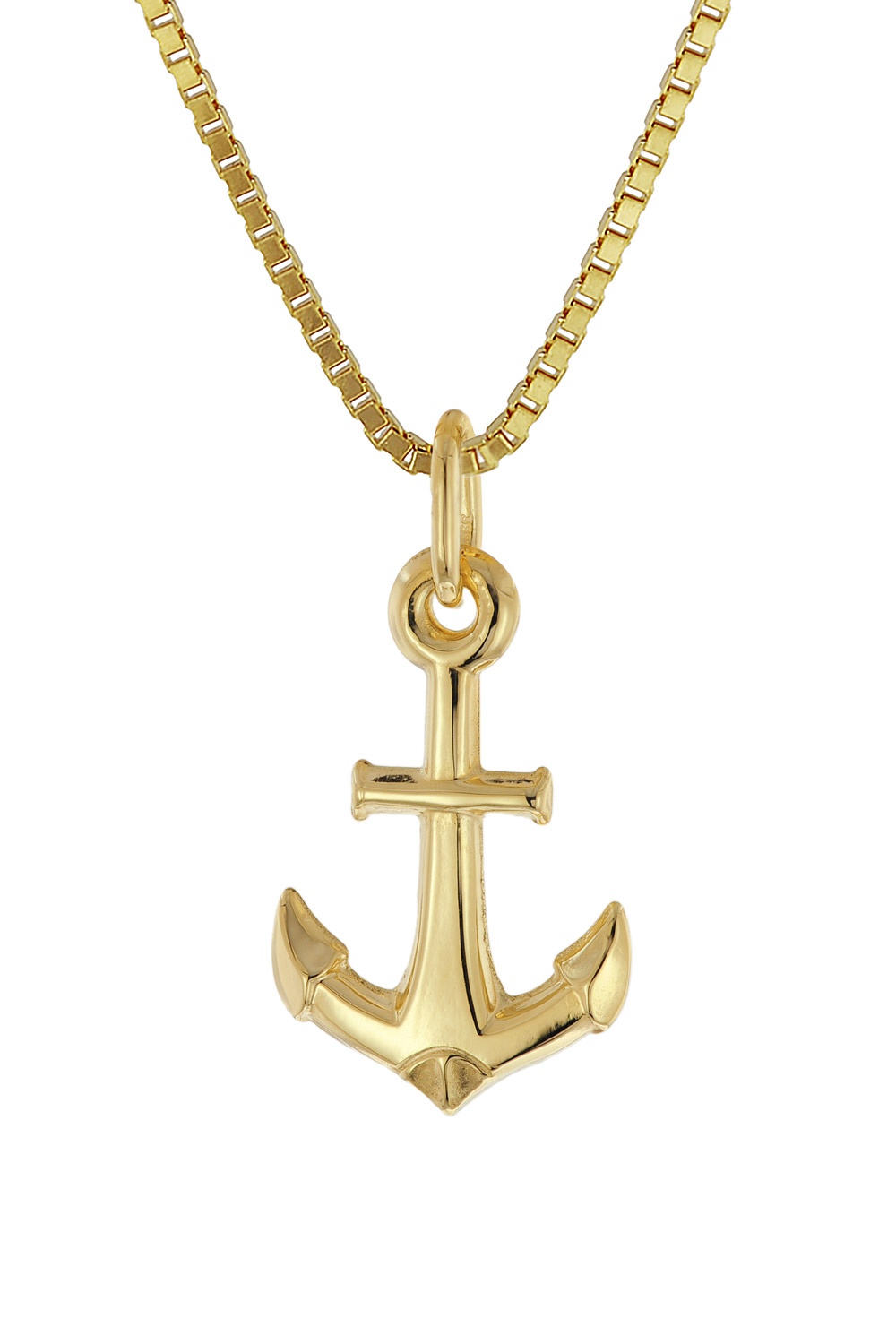 trendor 28958 Anker-Anhänger Gold 333/8K mit Vergoldeter Silberkette