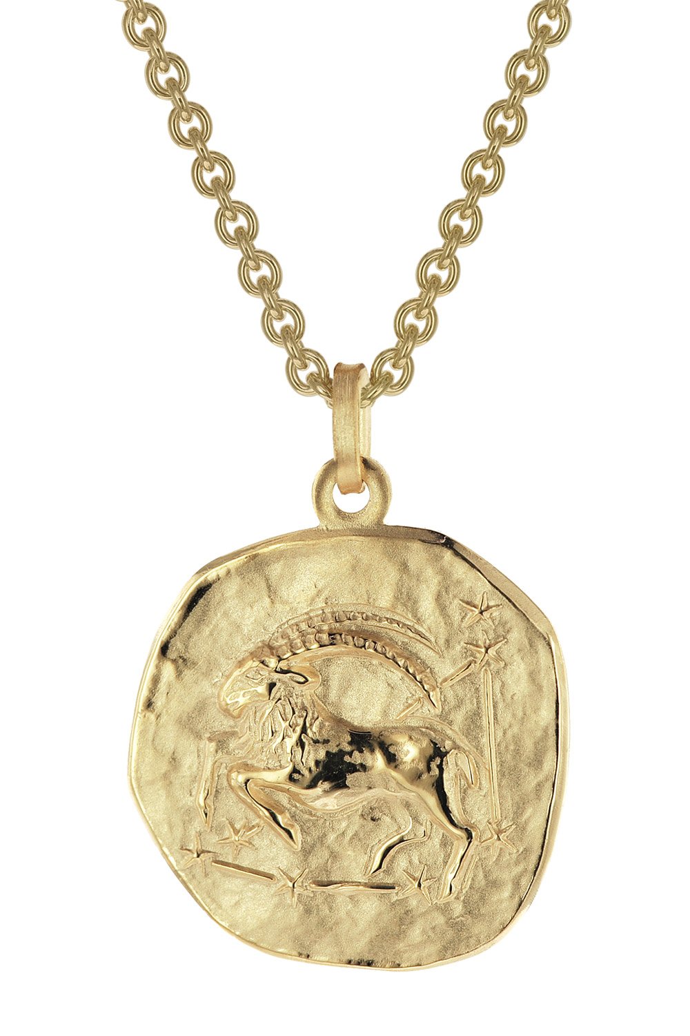 trendor 39070-01 Steinbock Sternzeichen Ø 20 mm Herrenkette Gold auf Silber