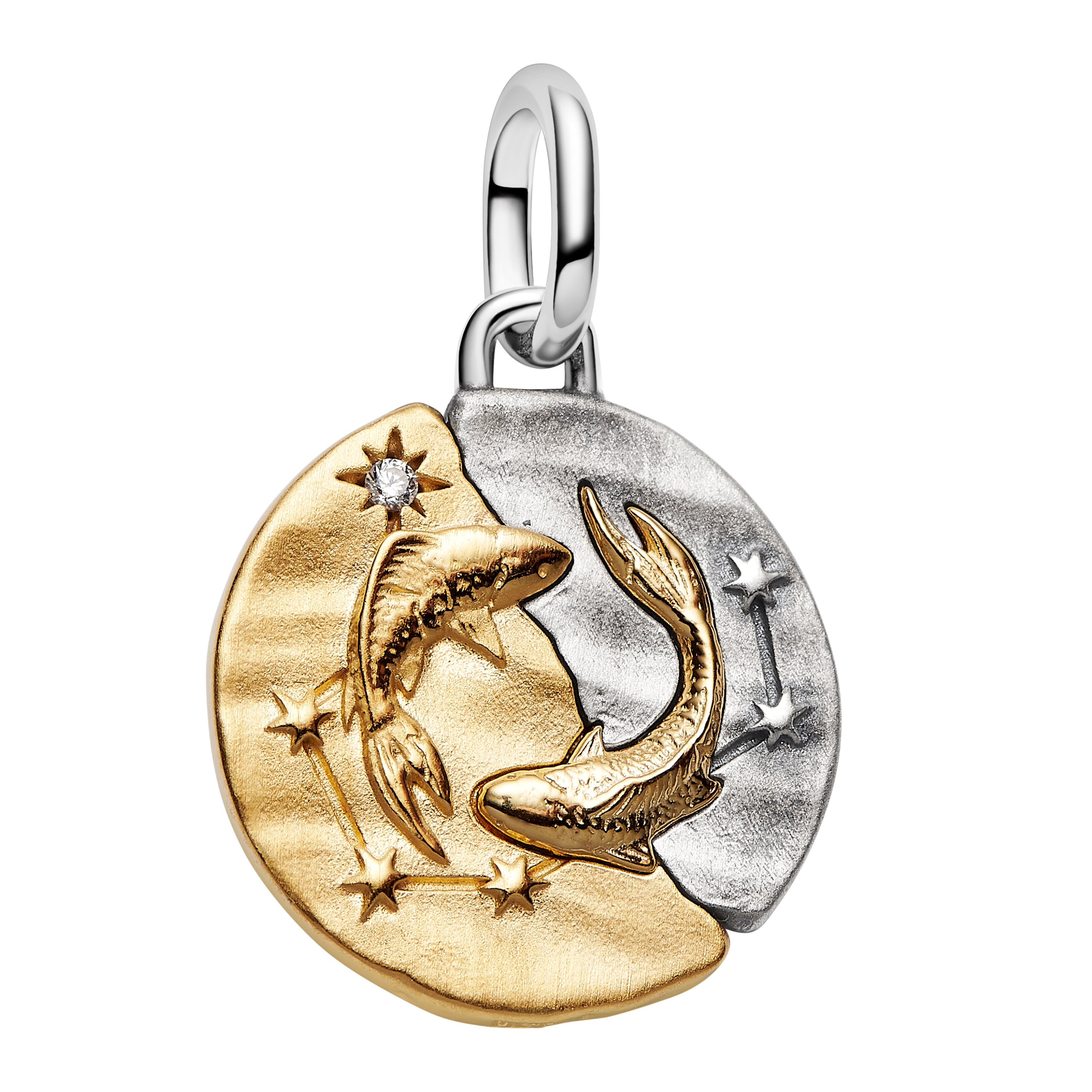 Pandora 764991C01 Medaillon Charm Anhänger Zweifarbig Sternzeichen Fische