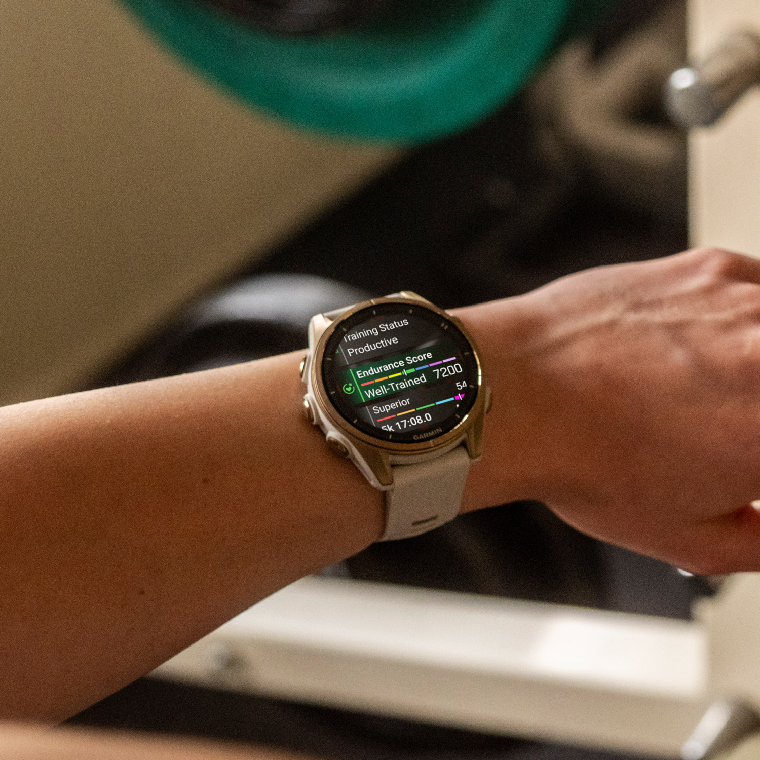 17 Cm Garmin Fenix Wrist Size Garmin Fenix Smartwatch AMOLED Fog