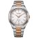 Citizen AW1756-89A Eco-Drive Men's Wristwatch Solar Two-Colour Image 1