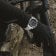 Festina F20724/7 Herren-Chronograph Stahl/Schwarz 4