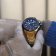 Festina F20727/1 Men's Watch Chronograph Gold Tone/Blue 5