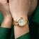 Festina F20050/1 Women's Watch Gold Tone with Mother of Pearl Dial 3