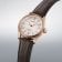 Seiko HCC008J1 Presage Herrenuhr Automatik Tomioka Limited Edition 2
