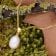 trendor 21560 Women's Pearl Pendant Necklace Gold Plated 925 Silver 3